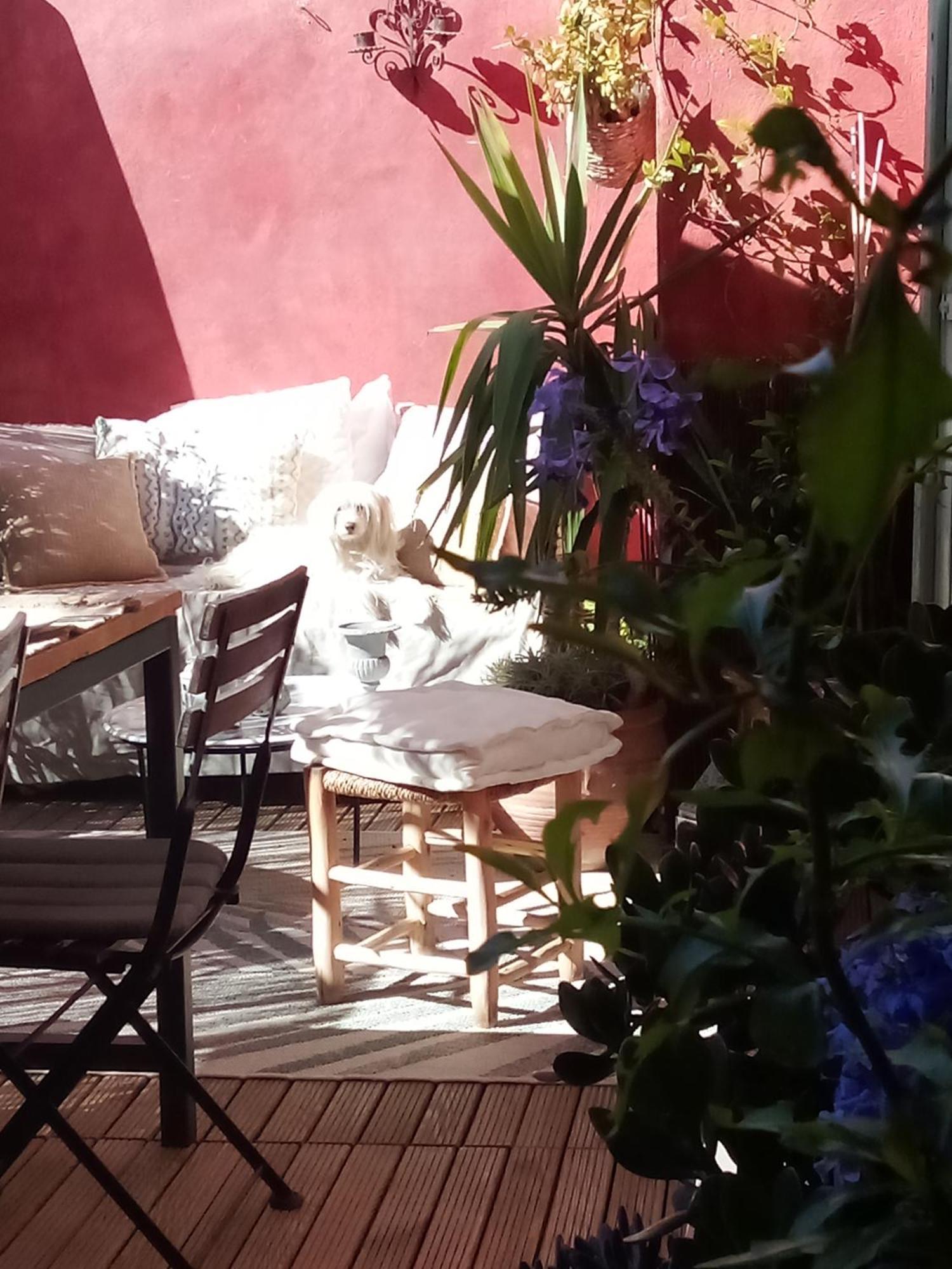 La Maison Perchee Эг-Морт Номер фото